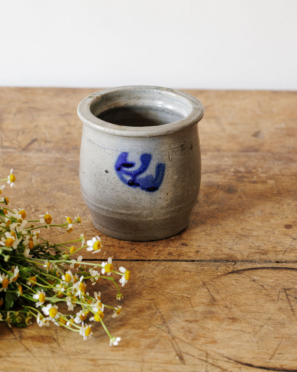 Alsace Pot