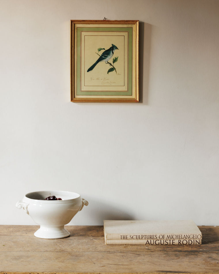 Bird Framed Print - I