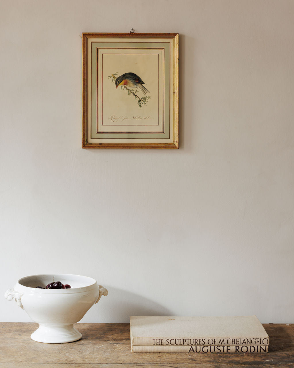 Bird Framed Print - I