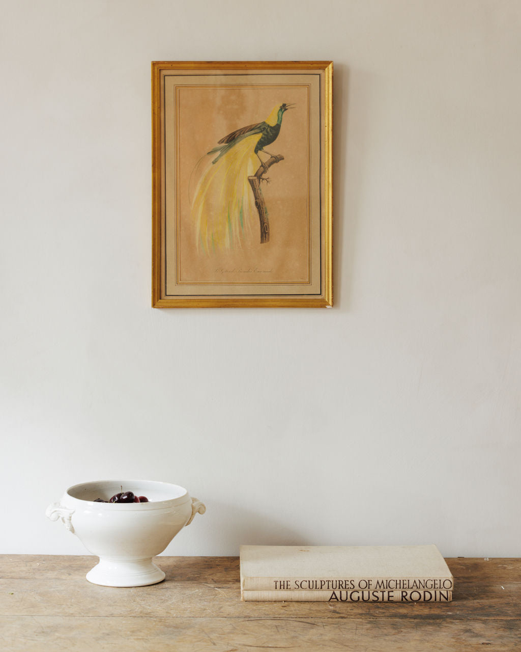 Bird Framed Print - IV