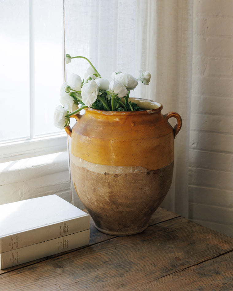 XL Yellow Confit Pot