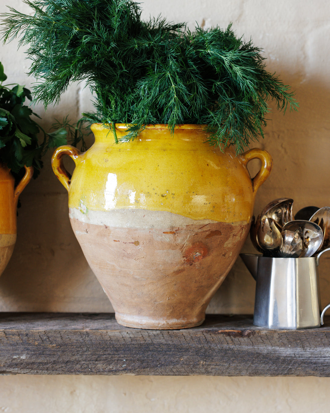 Small Yellow Confit Pot