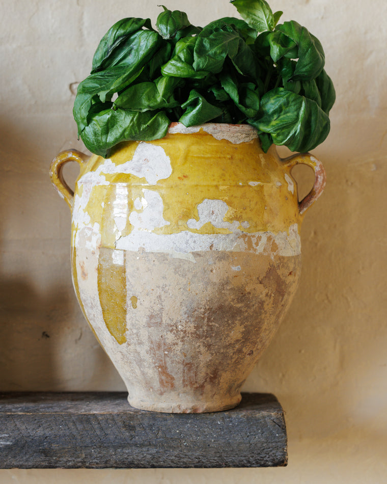 Large Yellow Confit Pot