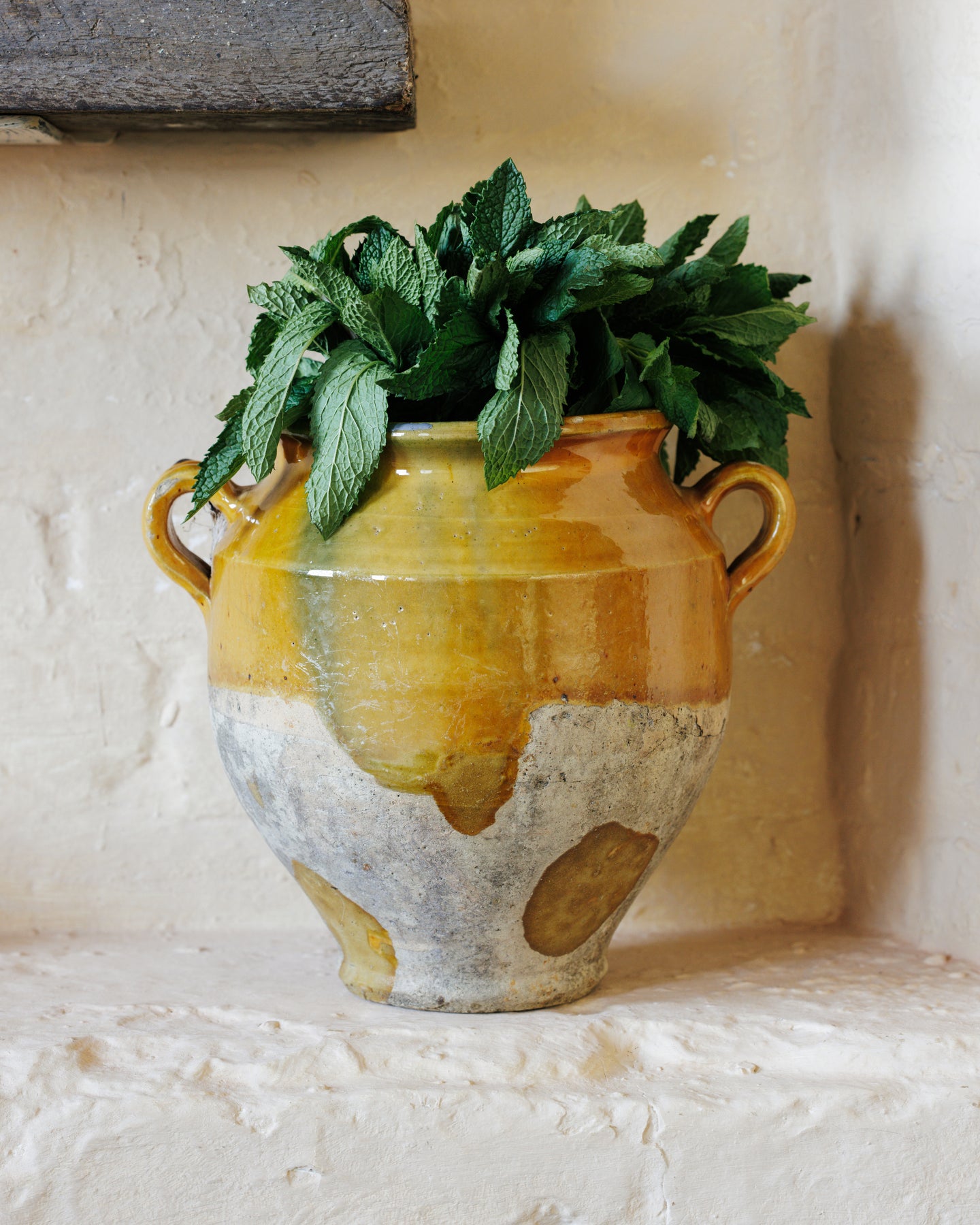 Rare Yellow Confit Pot