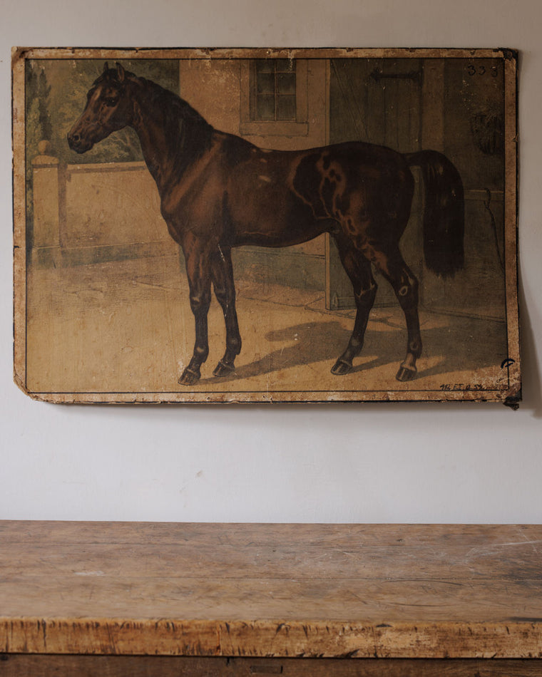 Le Cheval Artwork