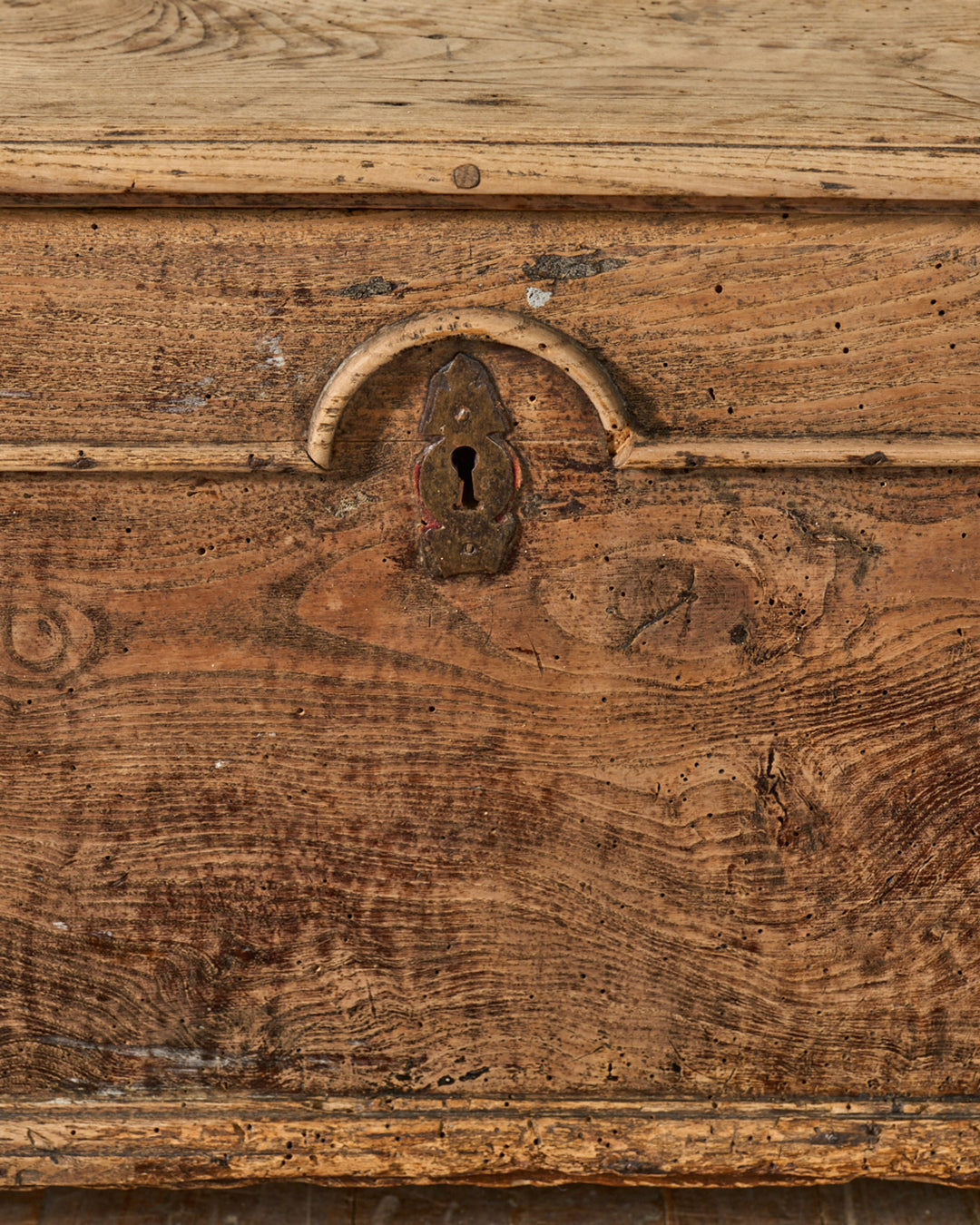 19th c. Oak Trunk