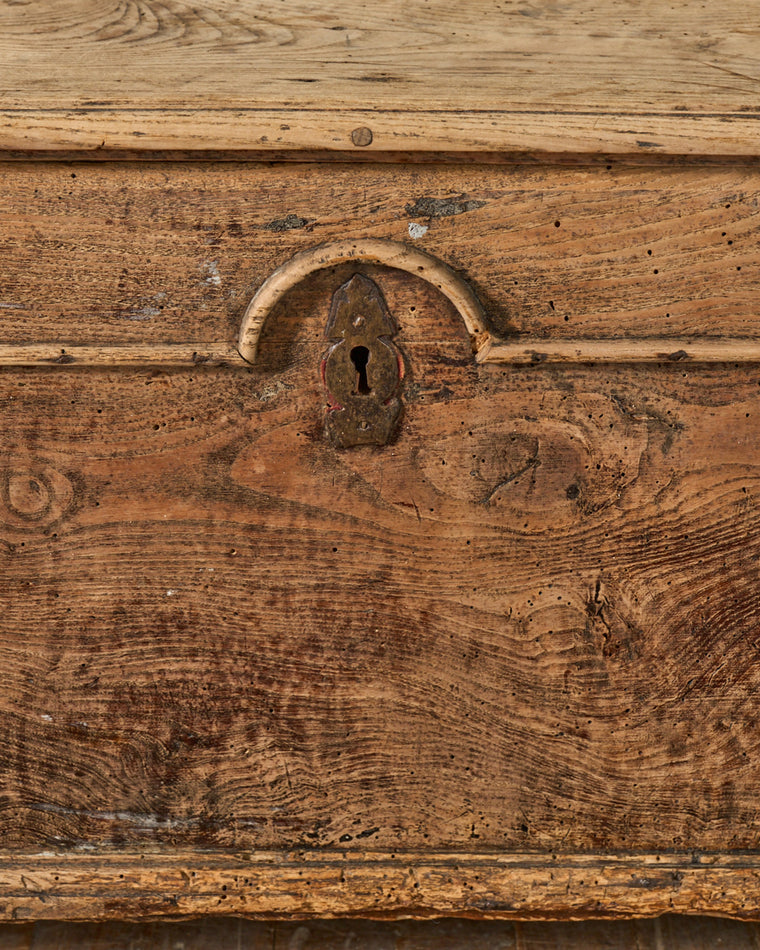 19th c. Oak Trunk