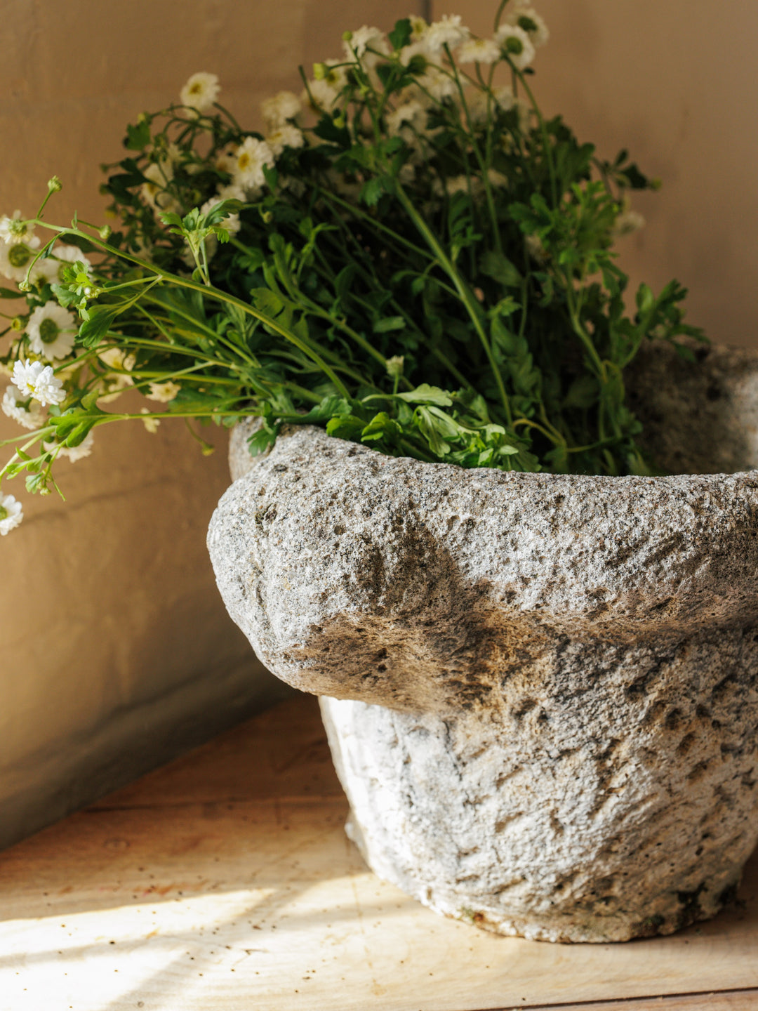 Ram Head Stone Planter