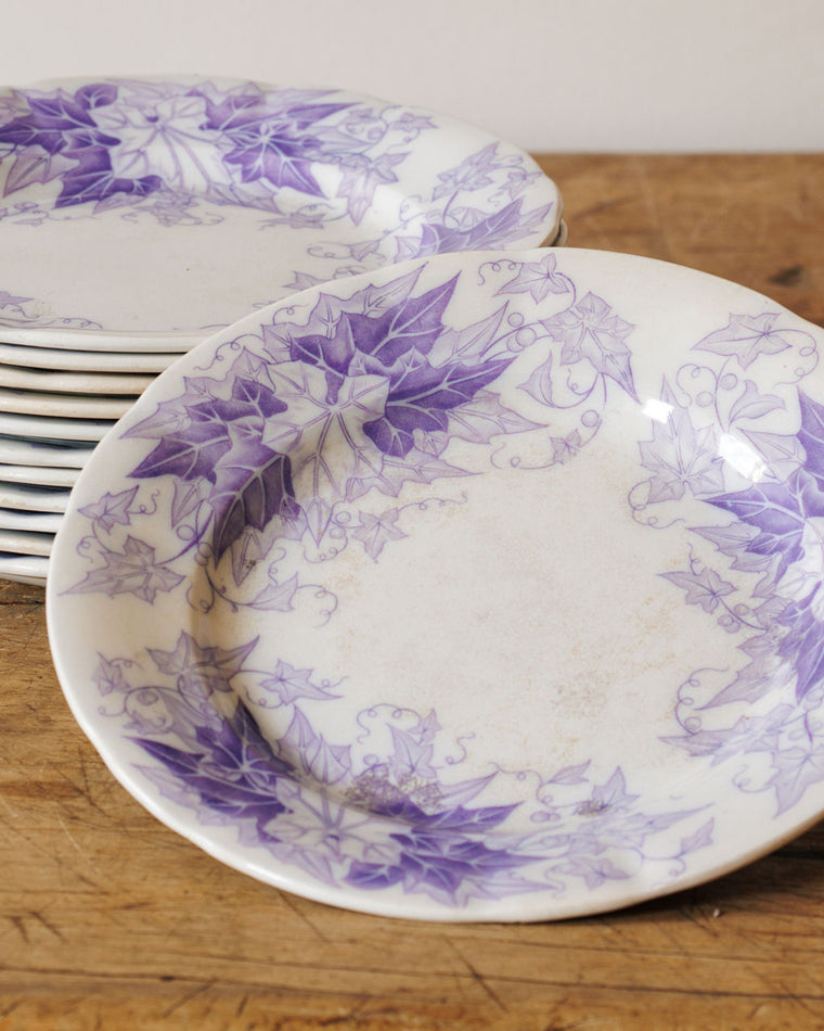 Bryonia Dinner Plate