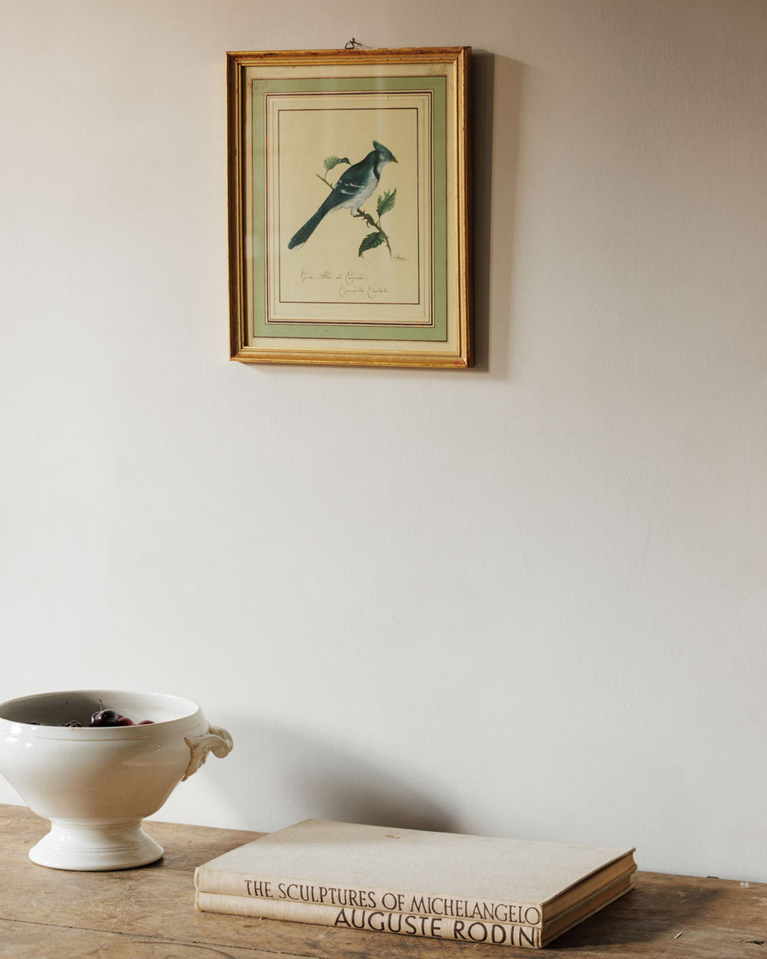 Bird Framed Print - I
