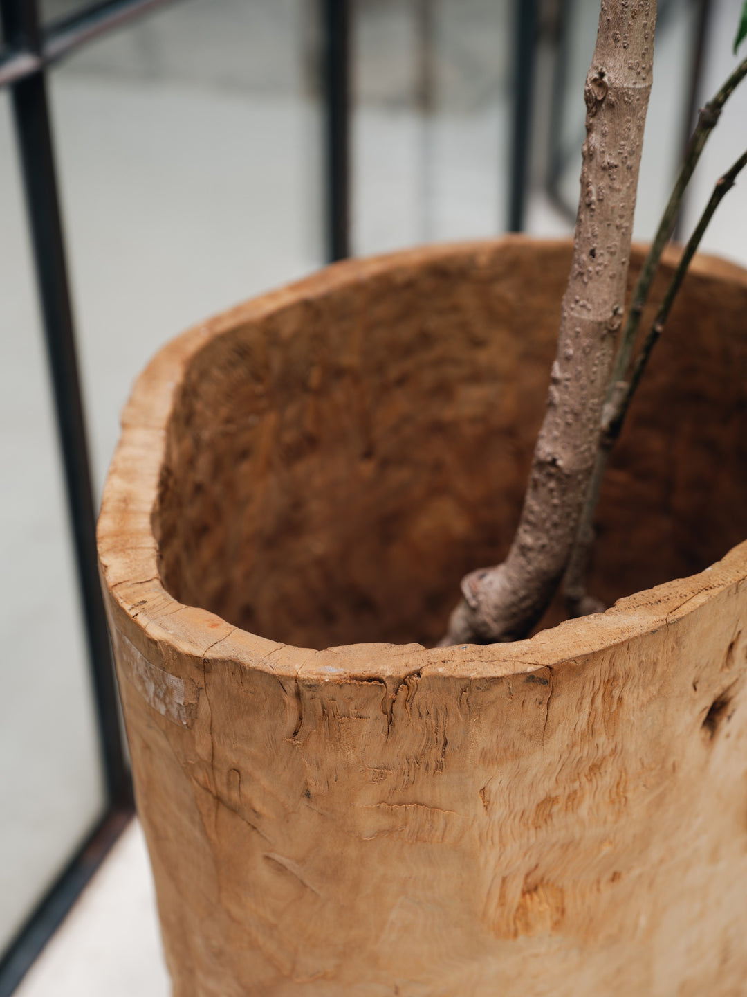 Chinese Wheat Pot - Light
