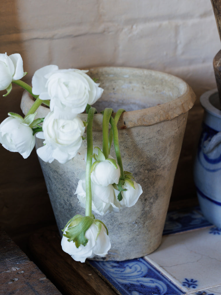 Italian Flower Pot - II