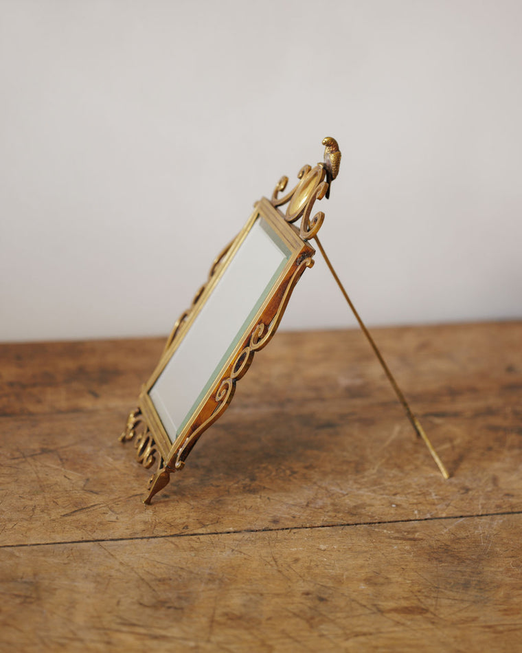 The Parrot Vanity Mirror