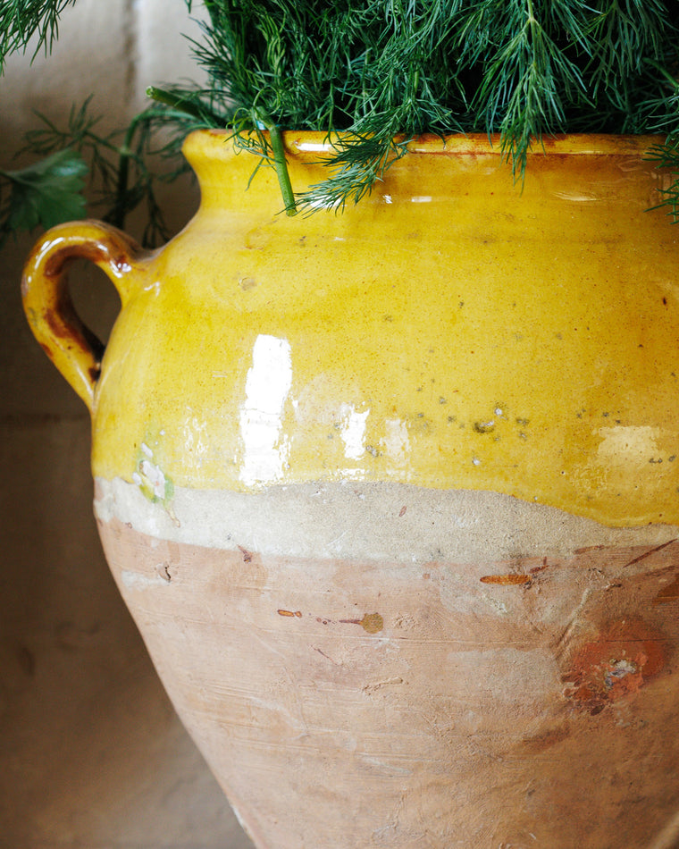 Small Yellow Confit Pot