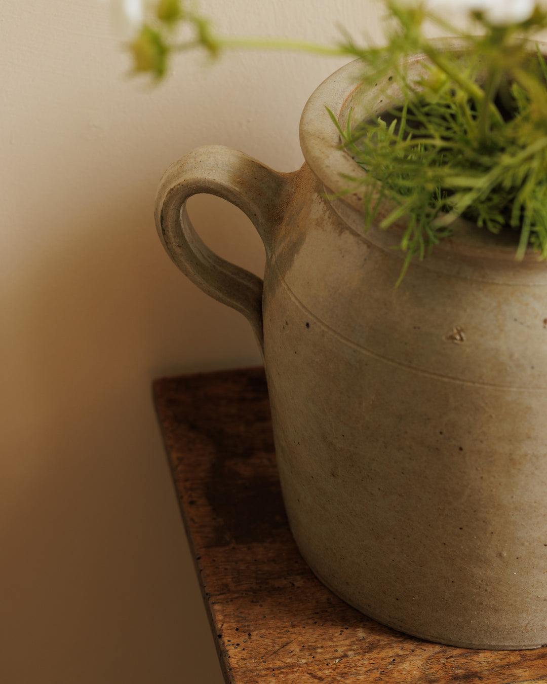 French Confit Pot