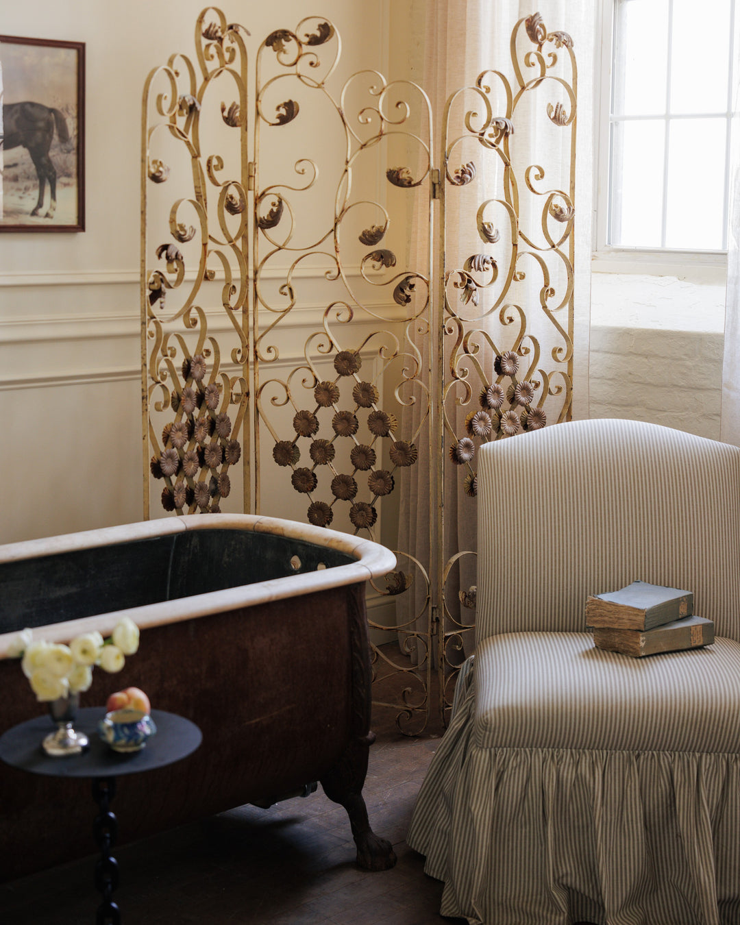 French Iron Screen