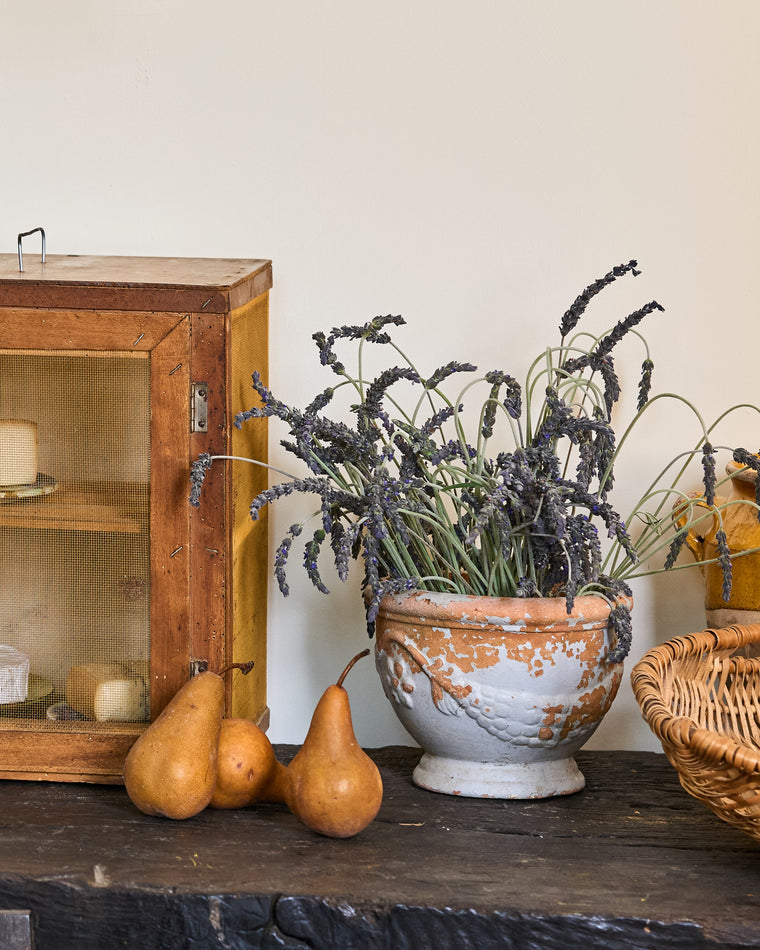 French Terracotta Pot