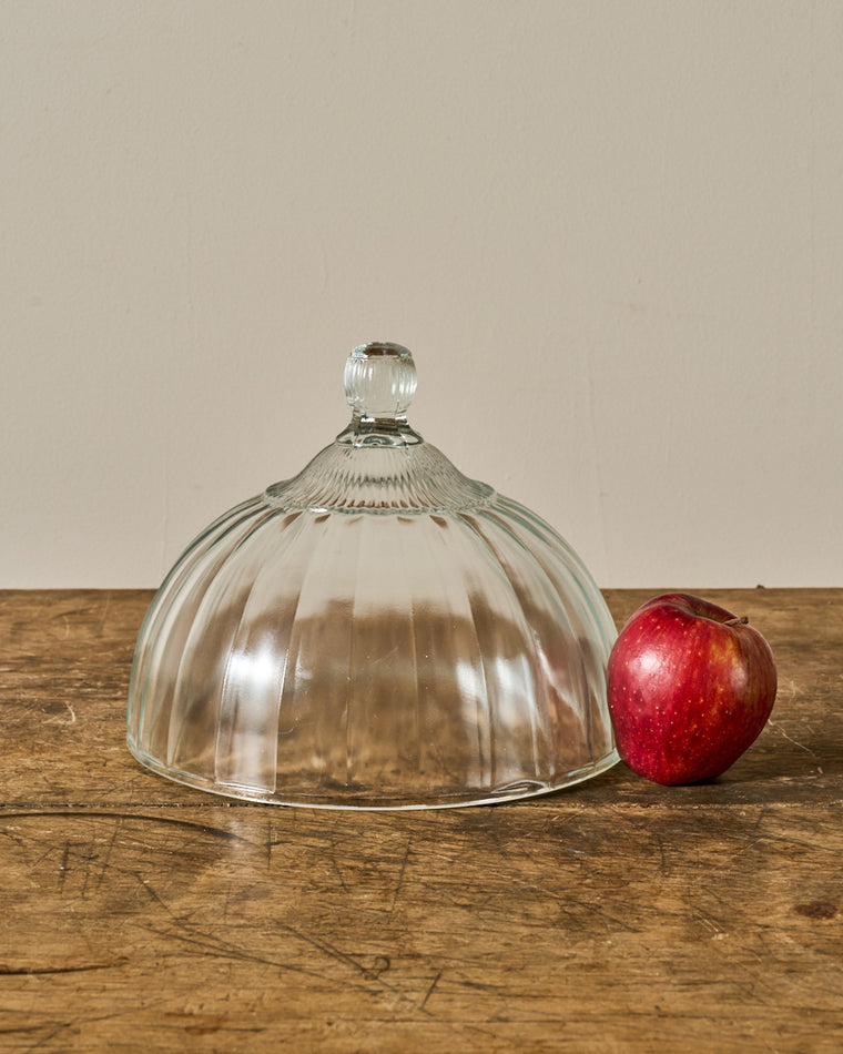 Vintage Glass Cloche - II