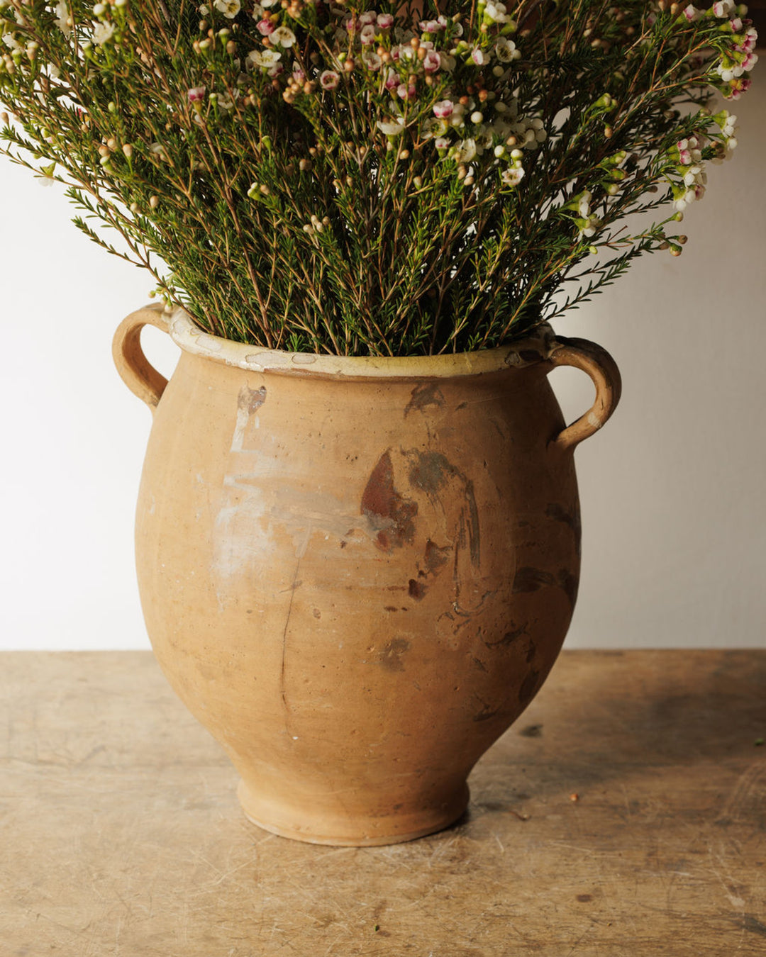 Yellow Terracotta Confit Pot
