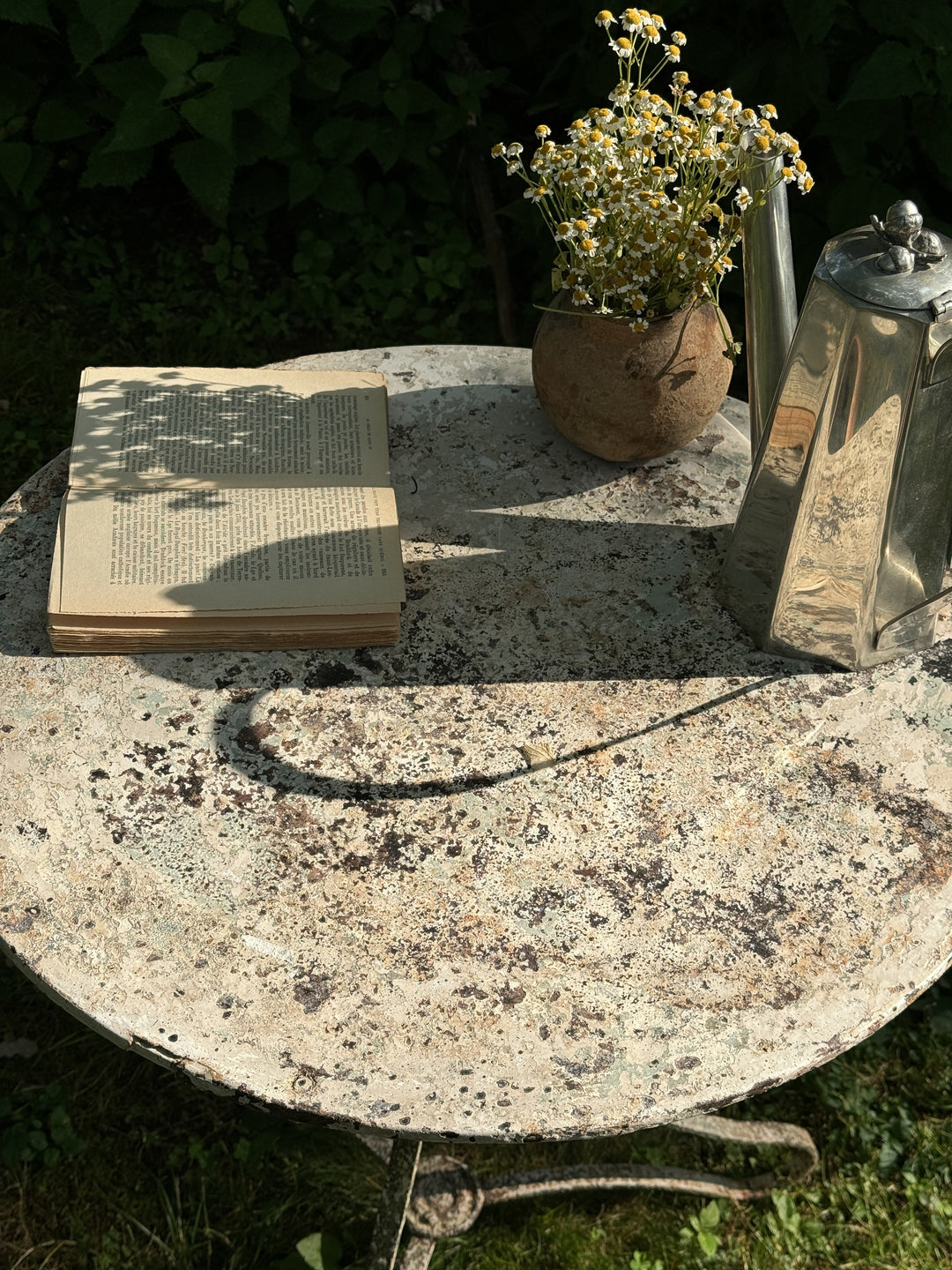 a book is sitting on a table next to a potted plant .