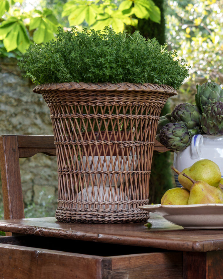 Rattan Basket