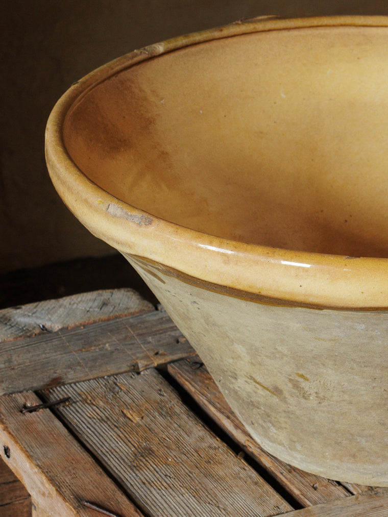 Ochre French Tian