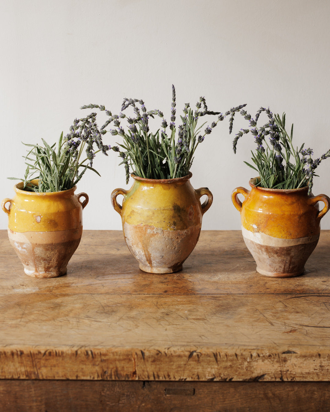 Petit Confit Pots