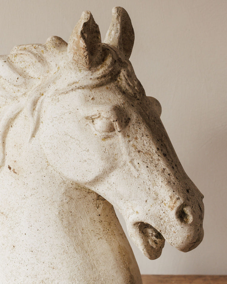 Le Cheval Bust