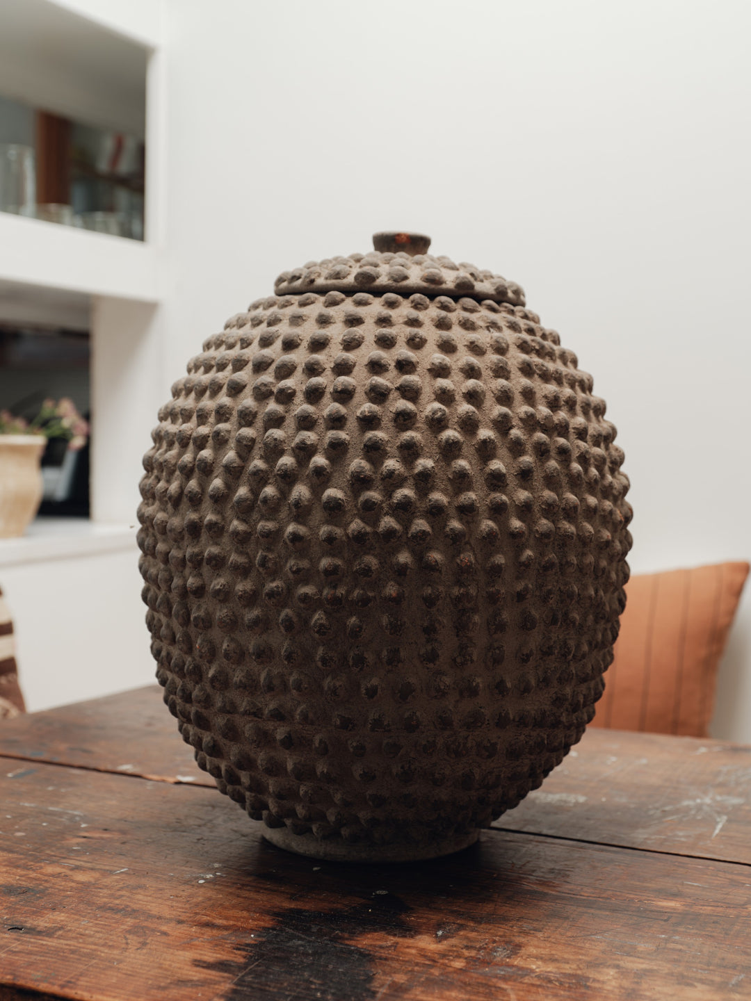 Lobi Pot