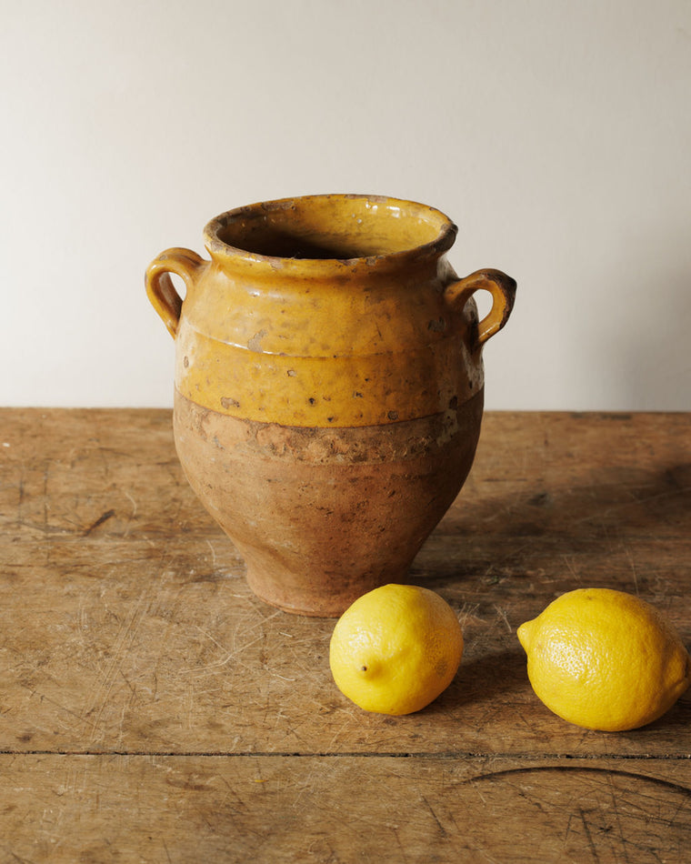 Petit Yellow Confit Pots