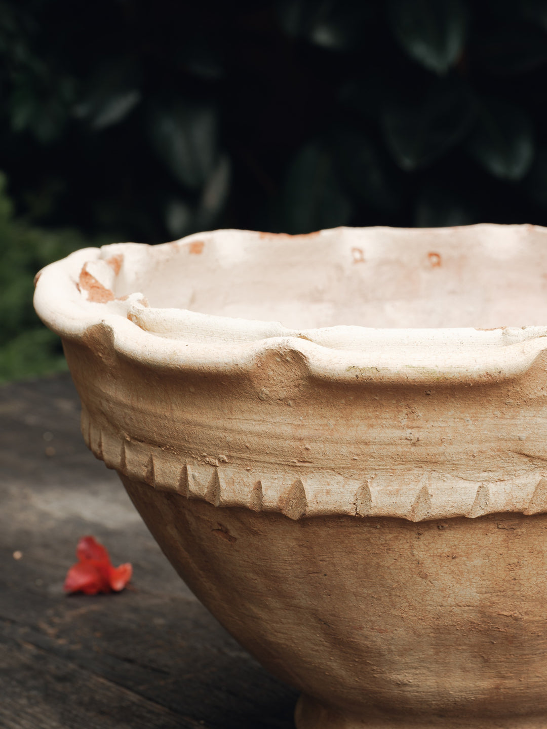 The Scallop Planter