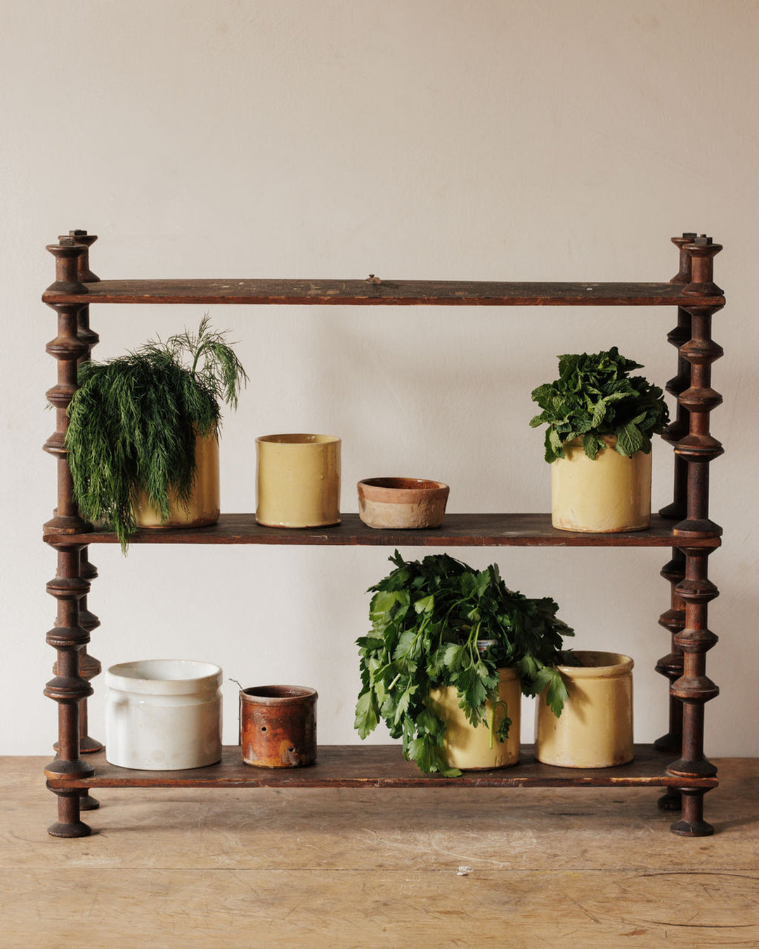 A rustic three-tiered wooden shelf displays various pots and fresh herbs including dill, mint, and parsley.