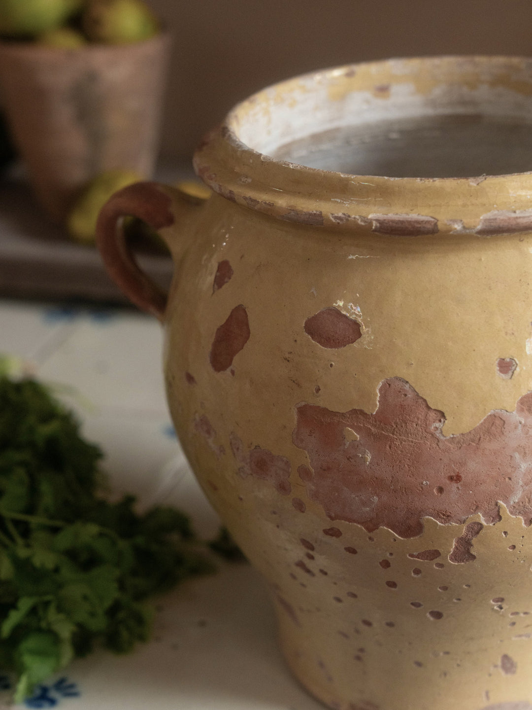a pot with a handle is sitting on a table next to parsley .