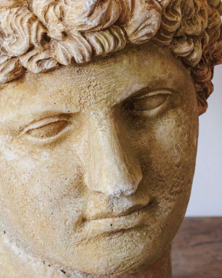 The Man Bust
