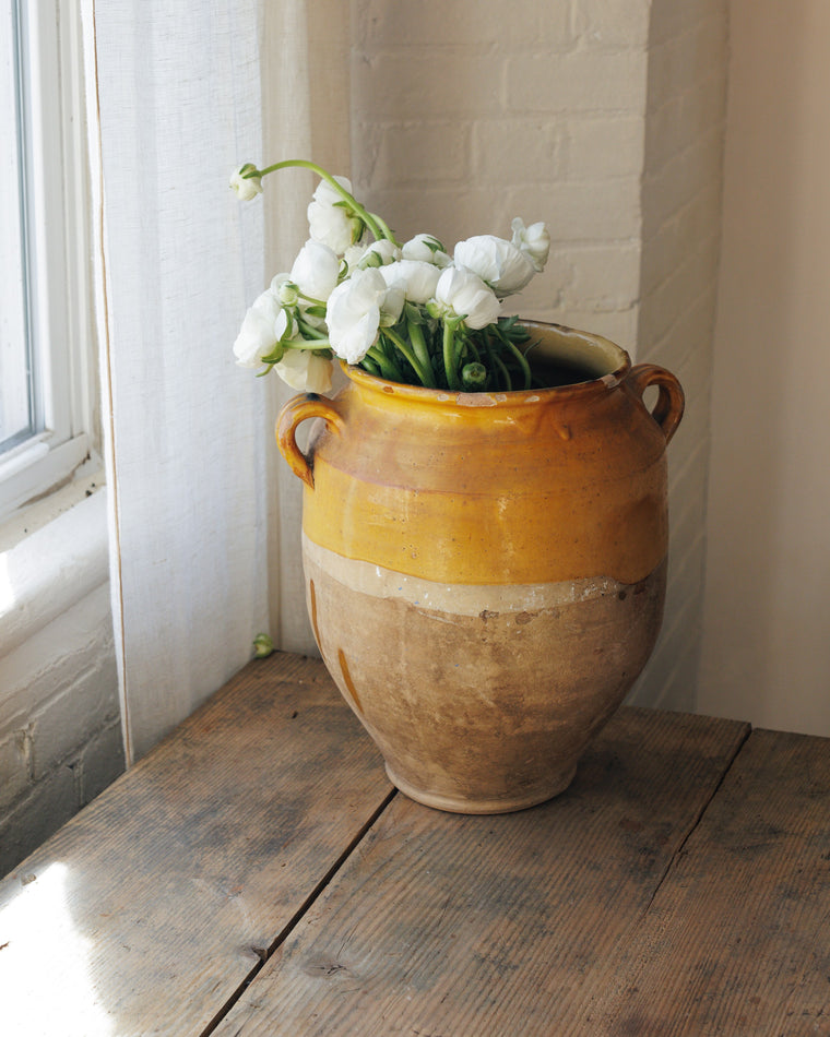 XL Yellow Confit Pot
