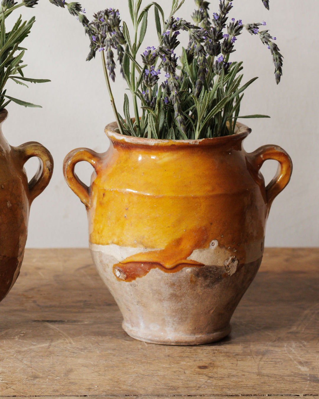 Petit Confit Pots