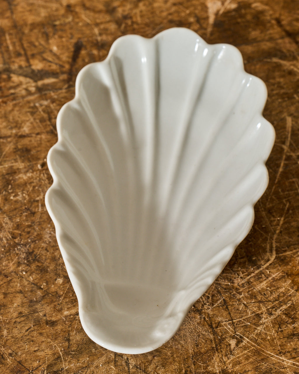 Set of 3 Shell Dishes