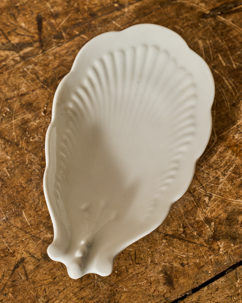 Set of 3 Shell Dishes