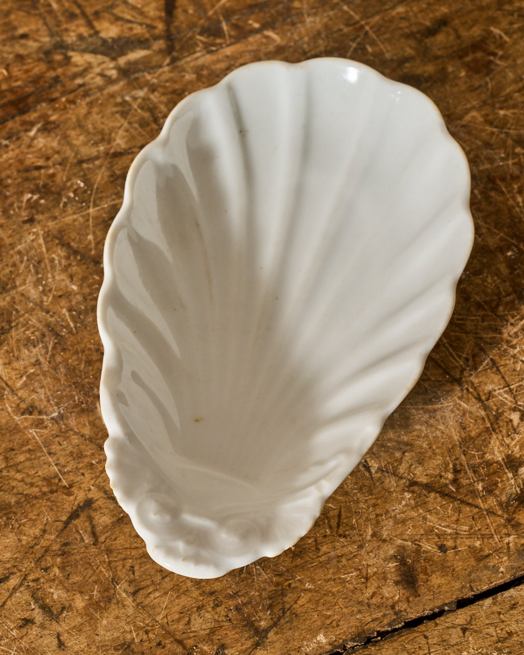 Set of 3 Shell Dishes