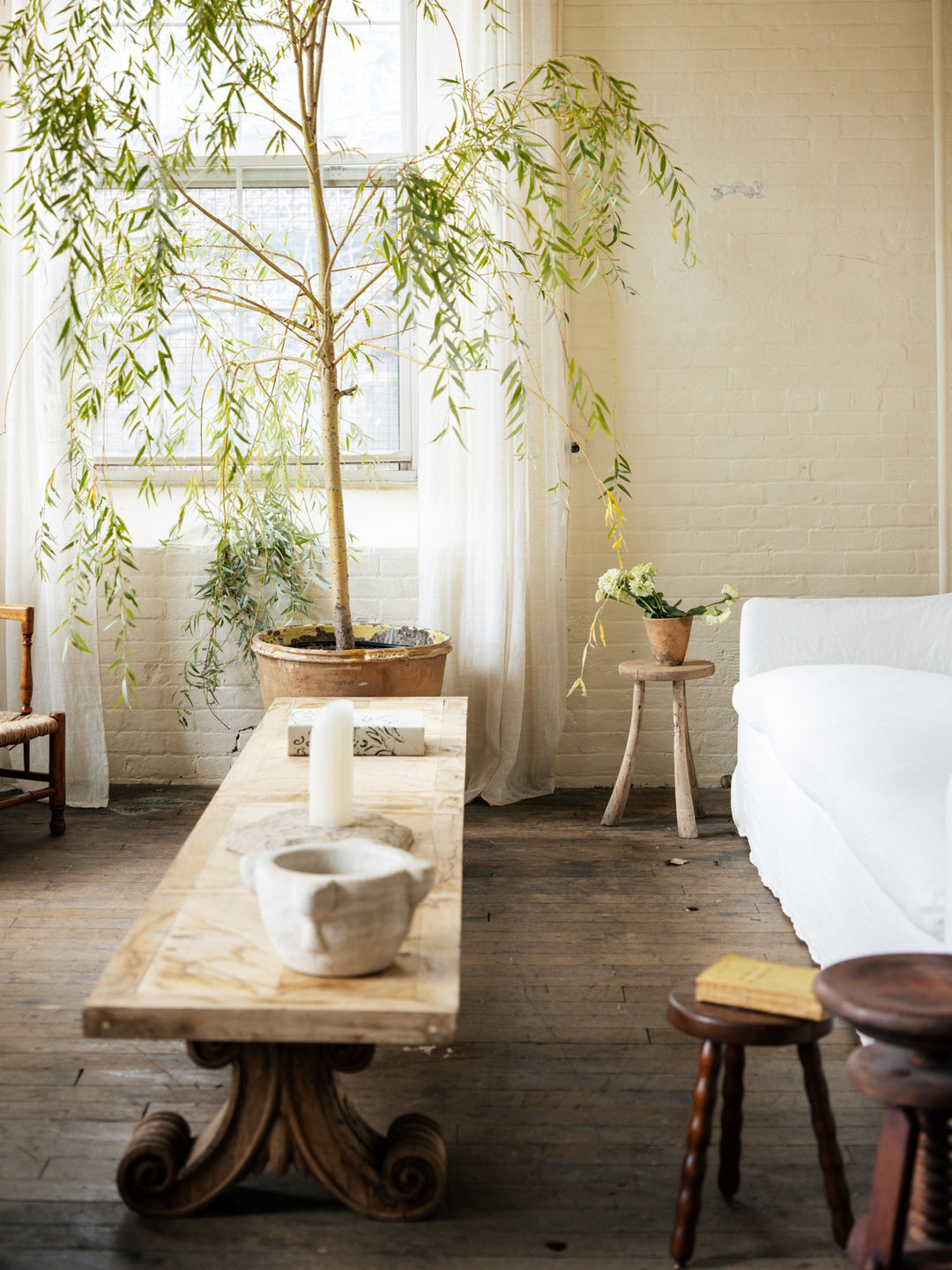 a living room with a table and a potted plant