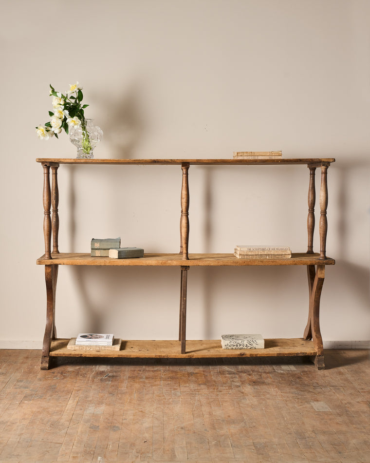 The Lyon Book Shelf
