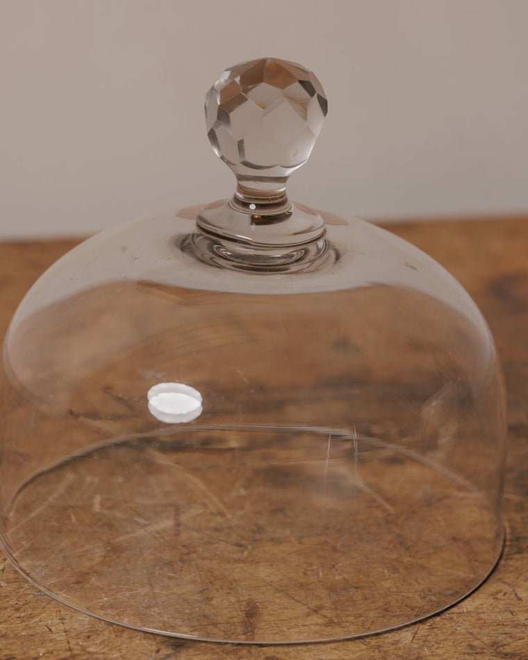 French Cloche - I