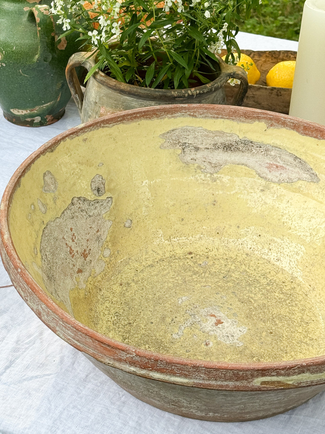 a large bowl is sitting on a table next to a potted plant .