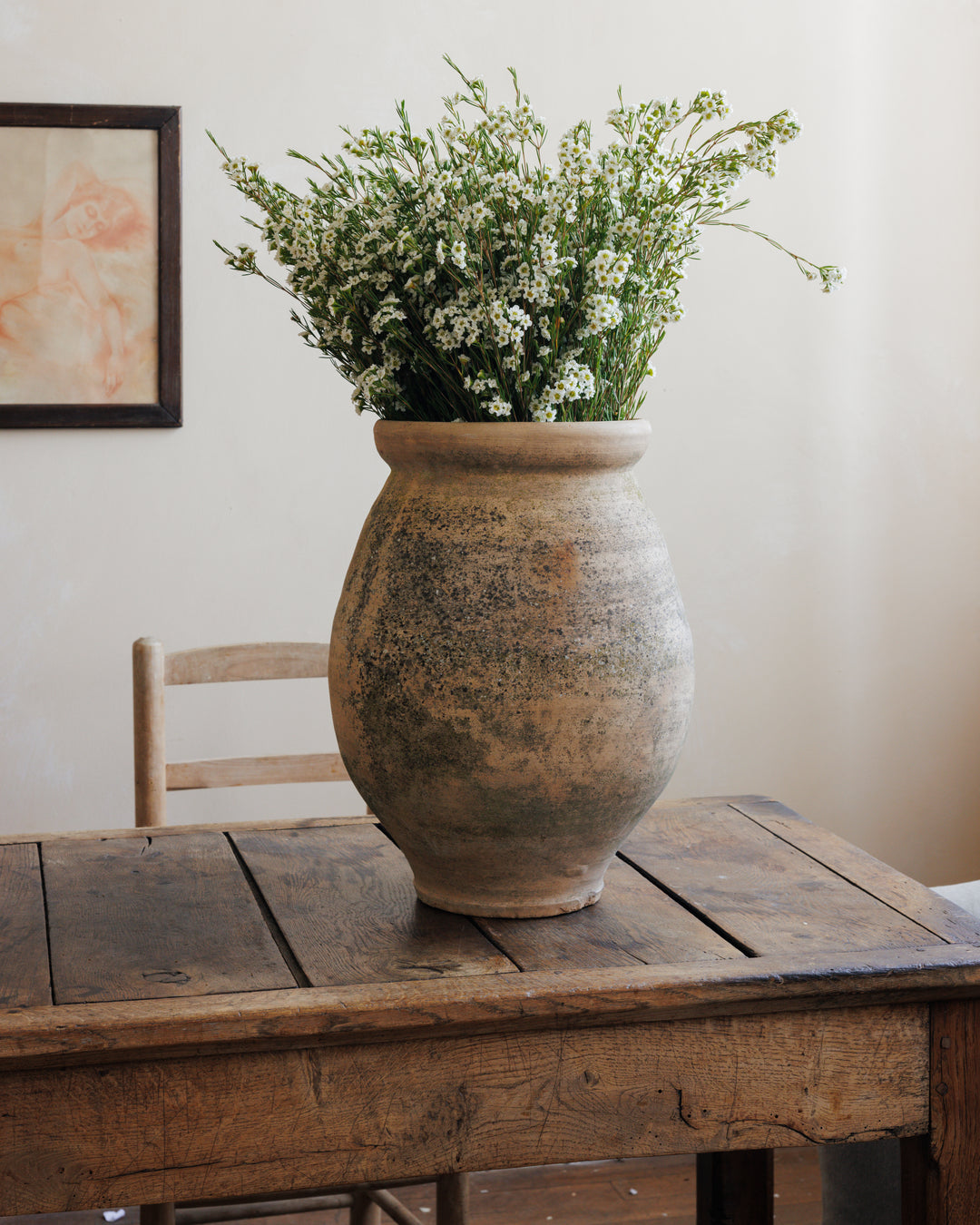 Terracotta Garden Pot