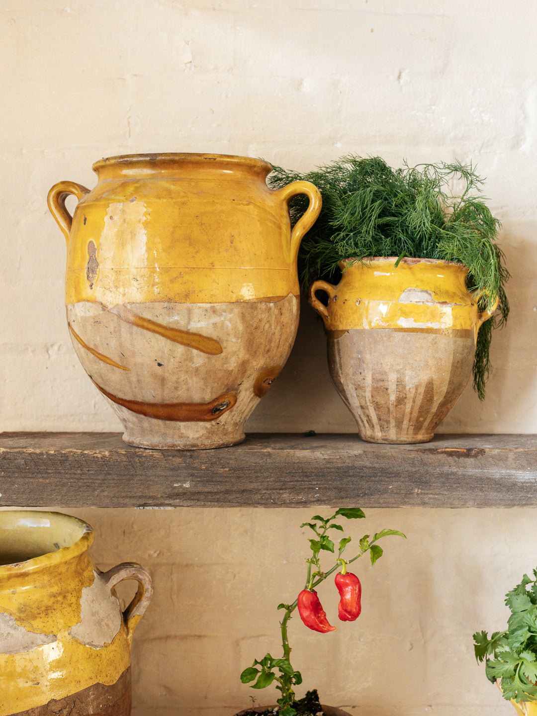 Yellow Confit Pot