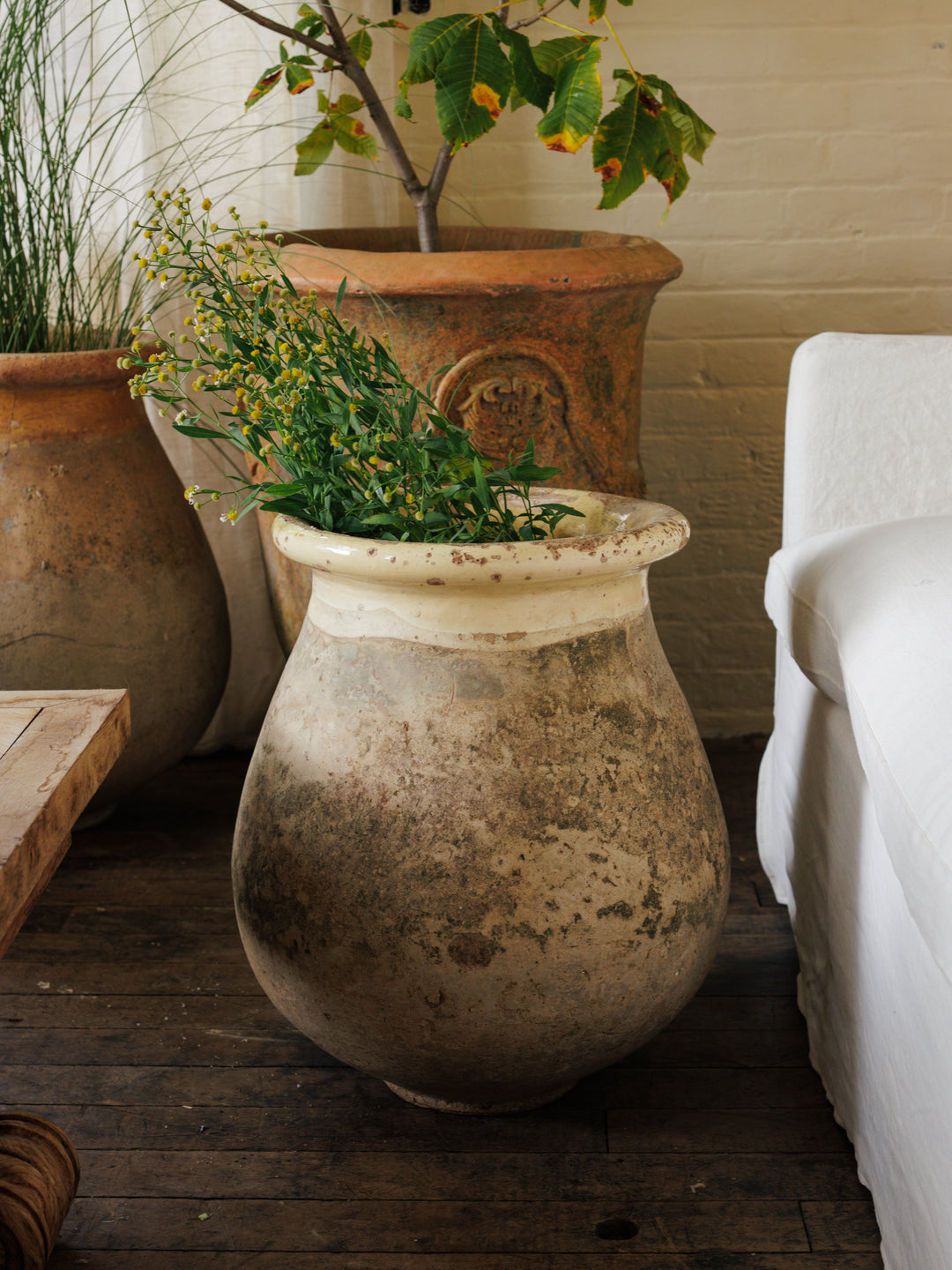 19th Century French Biot Planter