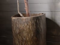 Nagaland Planter