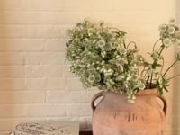 Butter Churn Pot