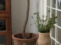 Mexican Fluted Planter