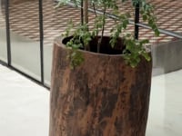 Naga Planter - 3